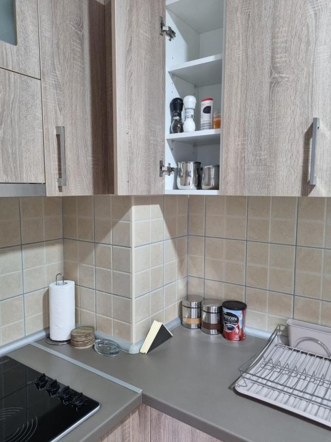 Apartman Ristanovic Banja Koviljača Eksteriør bilde